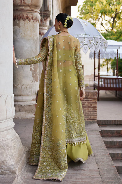 Dastangoi By Afrozeh Unstitched 3 Piece Embroidered Organza Suit DGAF23 AWE-23-V1-03 Shehnaz - Wedding Collection Brand Mafia by Zonash