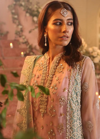 Gossamer by Zaha Embroidered Net Suits Unstitched 3 Piece D6 Emira - Wedding Collection Brand Mafia by Zonash