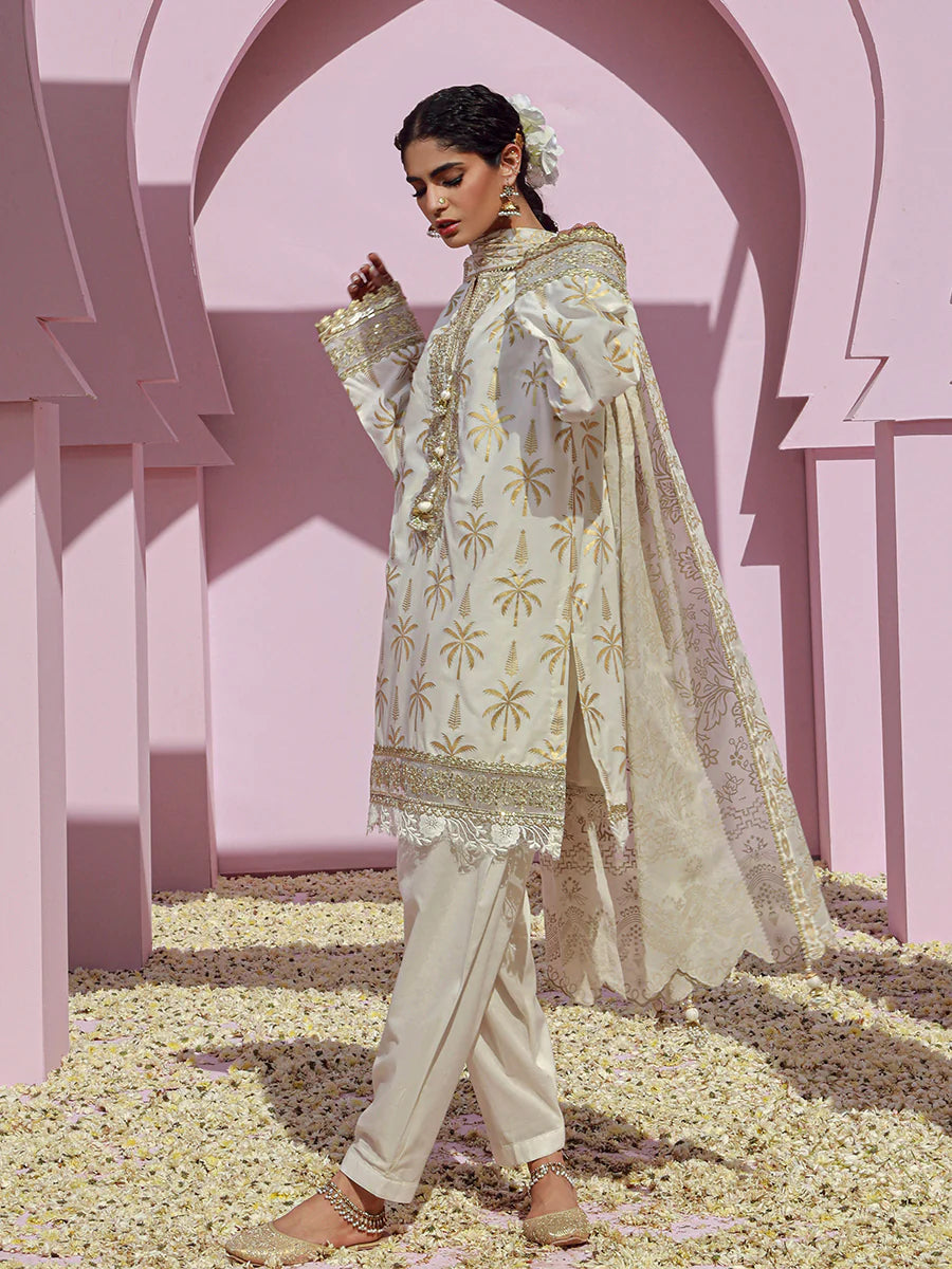 Noor e Khaas by Salitex Unstitched 3 Piece Dyed Embroidered Suit NKS24-D2 - Luxury Collection Brand Mafia by Zonash