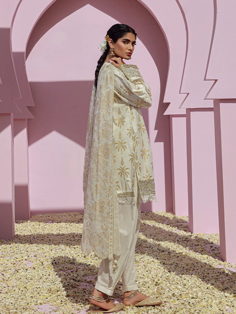 Noor e Khaas by Salitex Unstitched 3 Piece Dyed Embroidered Suit NKS24-D2 - Luxury Collection Brand Mafia by Zonash