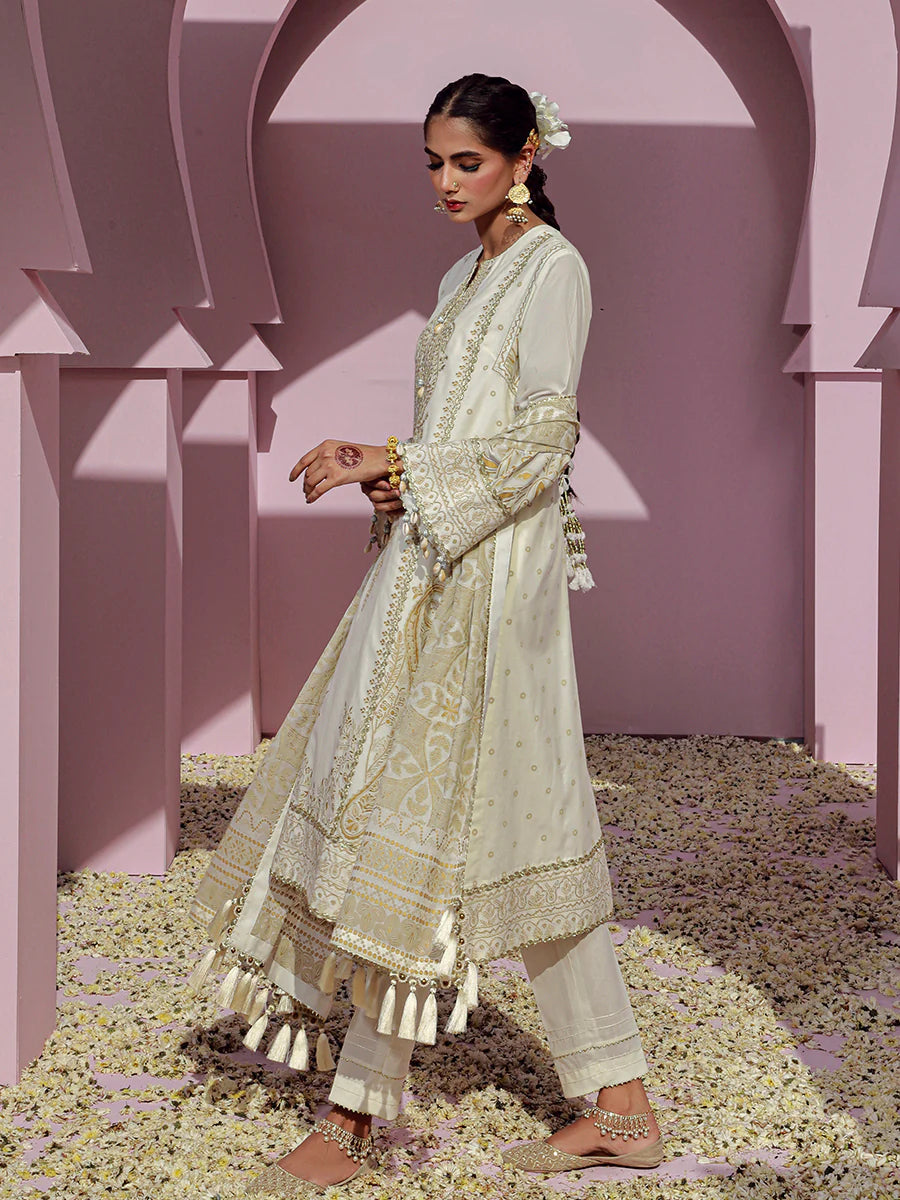 Noor e Khaas by Salitex Unstitched 3 Piece Dyed Embroidered Suit NKS24-D3 - Luxury Collection Brand Mafia by Zonash