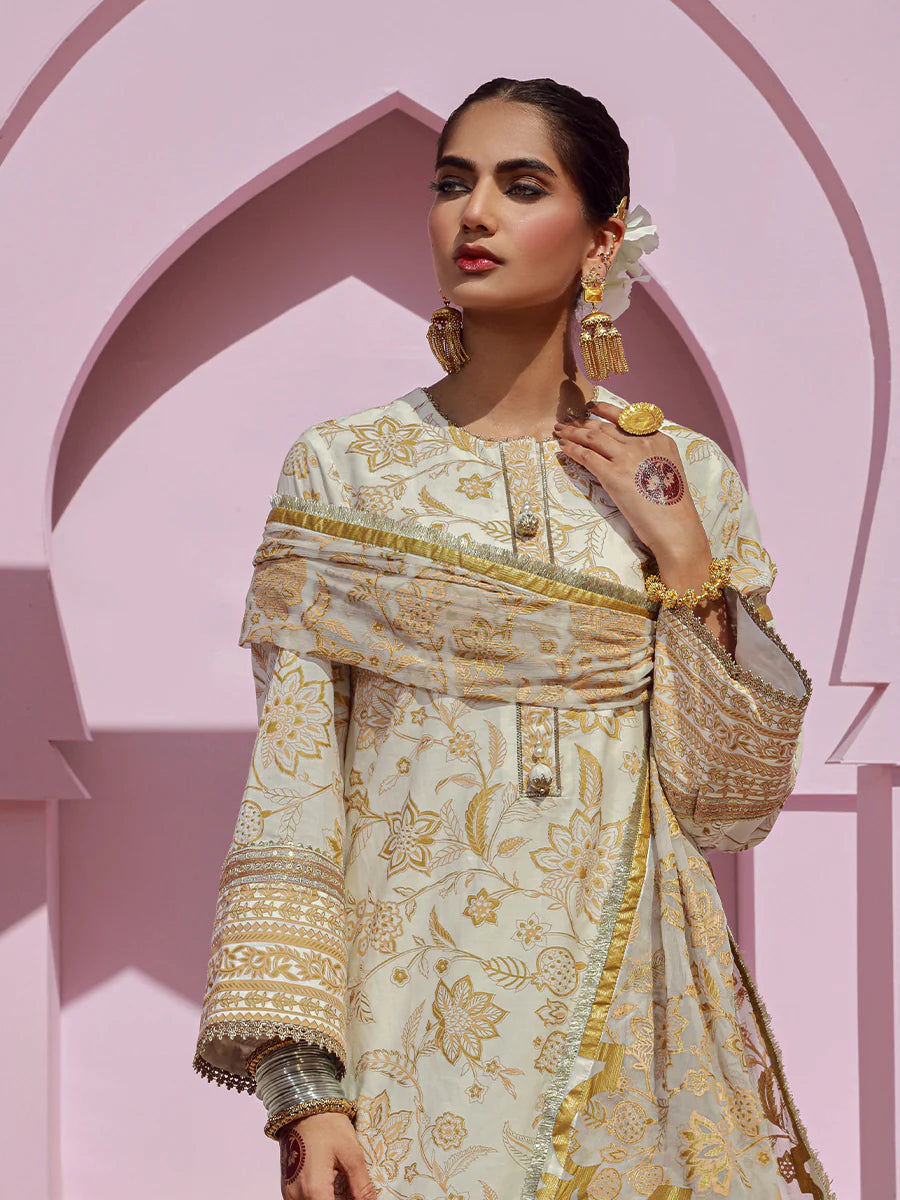 Noor e Khaas by Salitex Unstitched 3 Piece Dyed Embroidered Suit NKS24-D5 - Luxury Collection Brand Mafia by Zonash